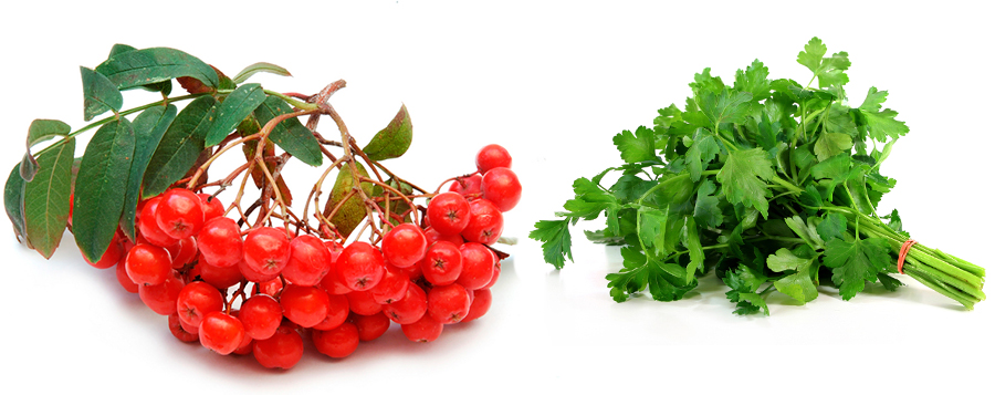 Как отбелить лицо за 1 день в домашних условиях