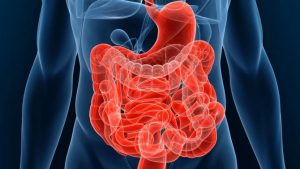 Всплеск заболеваемости ЖКТ в России