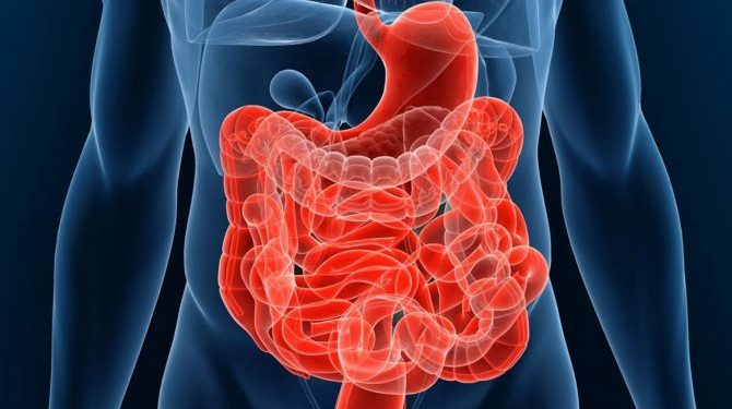 Всплеск заболеваемости ЖКТ в России