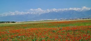 Где разместиться в Алматы? Обзор гостиниц