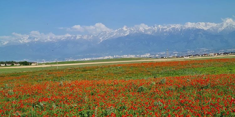 Где разместиться в Алматы? Обзор гостиниц