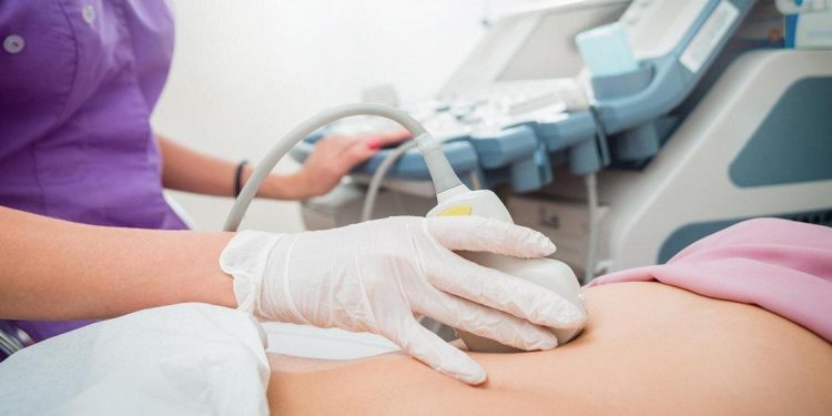 УЗИ малого таза