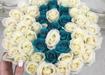 Какие цветы популярны в разных странах