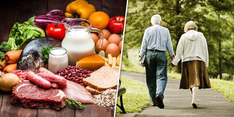 Зачем используют шрот расторопши: это важно знать каждому, кто заботится о здоровье