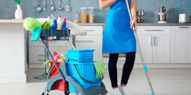 Что такое клининг? В чем его достоинства? Виды клининга — информация и советы