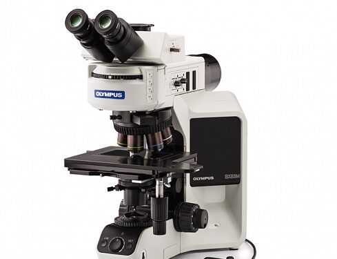 Флуоресцентные системы для образовательных учреждений: оптимальные методы использования