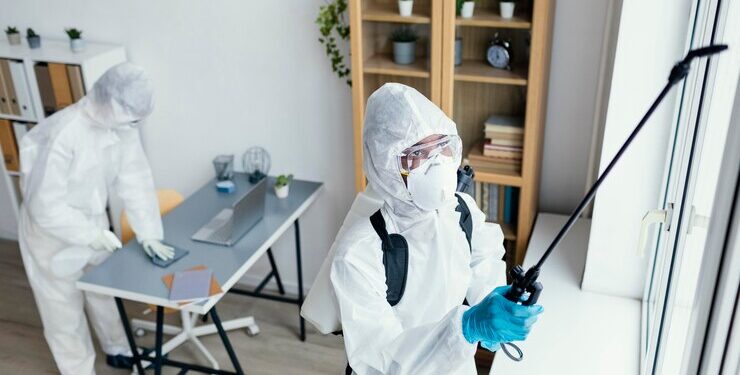 Что такое дезинфекция и уничтожение насекомых?