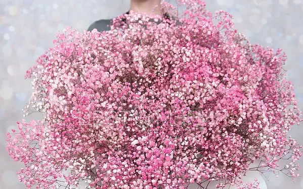 Букеты из гипсофилы: нежность и элегантность в каждой веточке