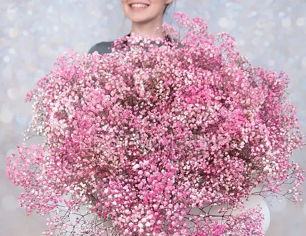 Букеты из гипсофилы: нежность и элегантность в каждой веточке