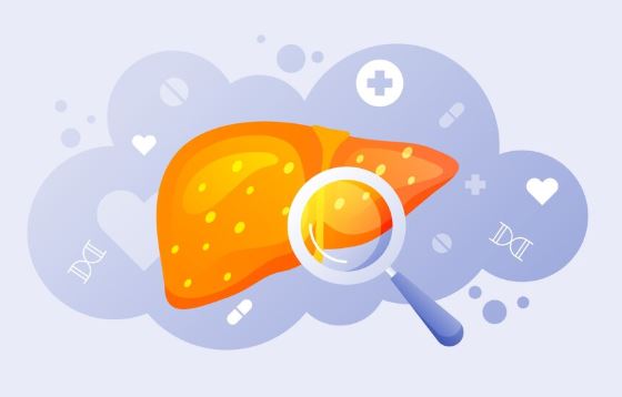 Увеличение печени: симптомы, причины, лечение и опасности