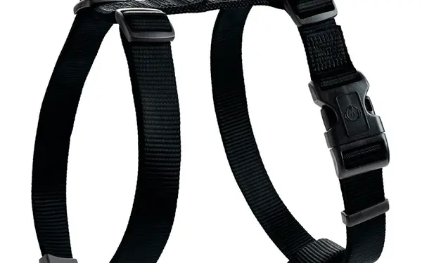 Уход за домашними животными: брендовая продукция для кошек и собак