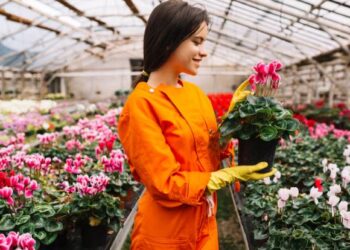 Теплицы из поликарбоната: современные решения для выращивания растений