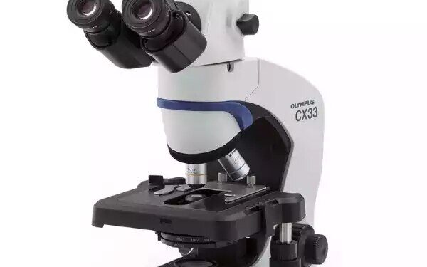 Сравнение Olympus CX43 и CX33: эволюция серии и преимущества новой модели